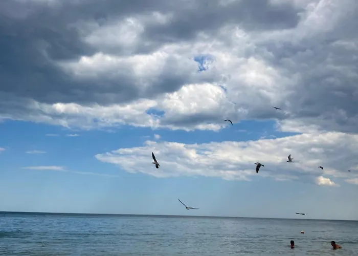 Oasis2 Διαμέρισμα Νεσέμπαρ